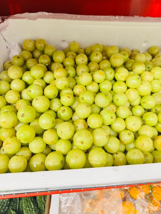 Indian Gooseberry (Amla)