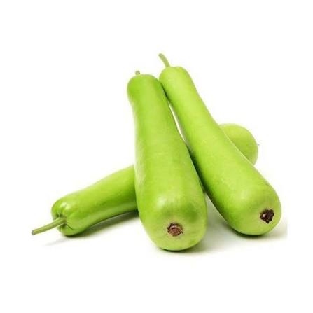 Bottle Gourd (Lauki)