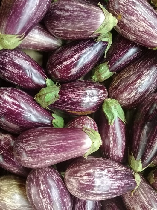 Brinjal (Eggplant)