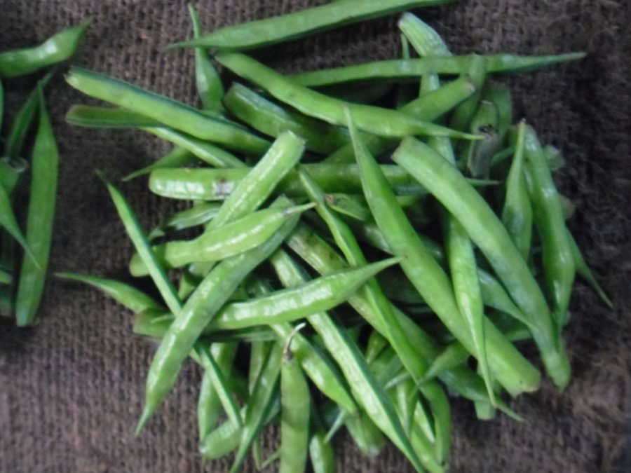 Cluster Beans (Gawar)