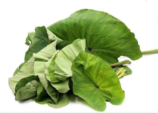 Colocasia Leaves (Chembu Thal)