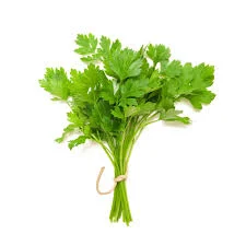 Fresh Coriander
