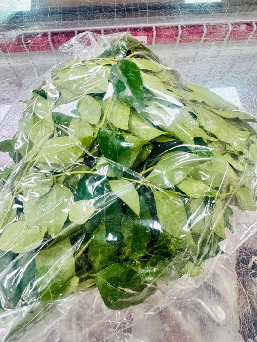 Fresh Curry Leaves