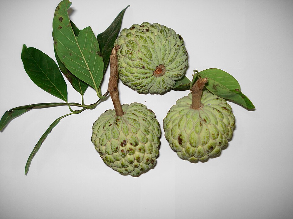 Custard Apple (Sitaphal)