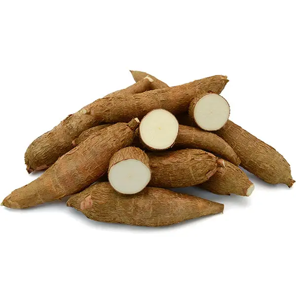Fresh Cassava