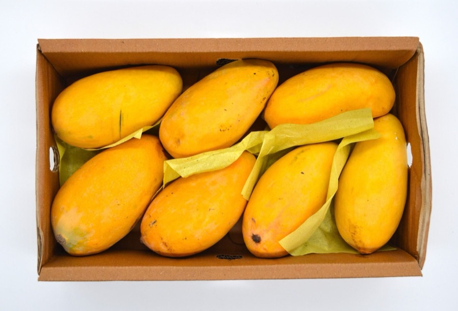 Honey Mango