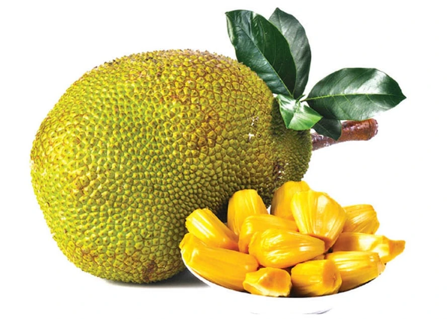 Jackfruit (Whole)