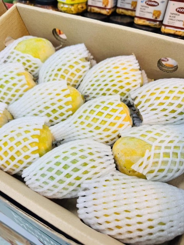 Kesar Mango