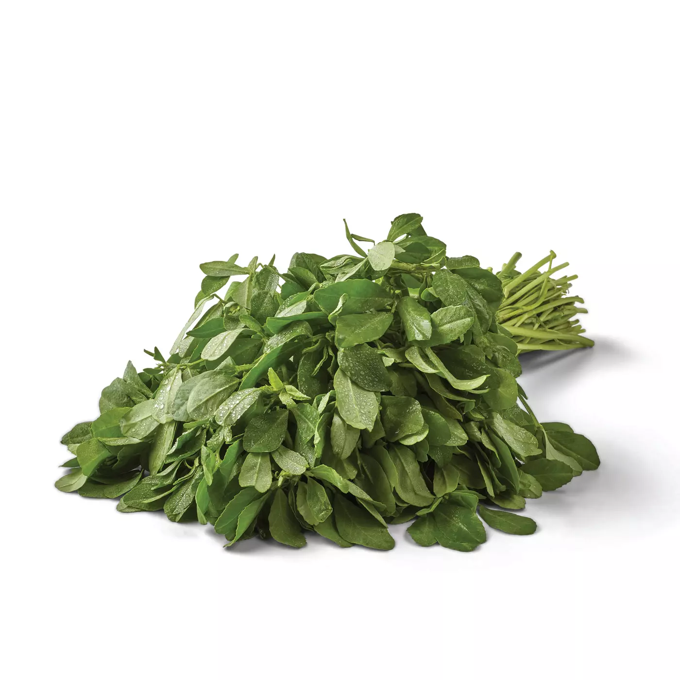 Fenugreek Leaves (Methi)