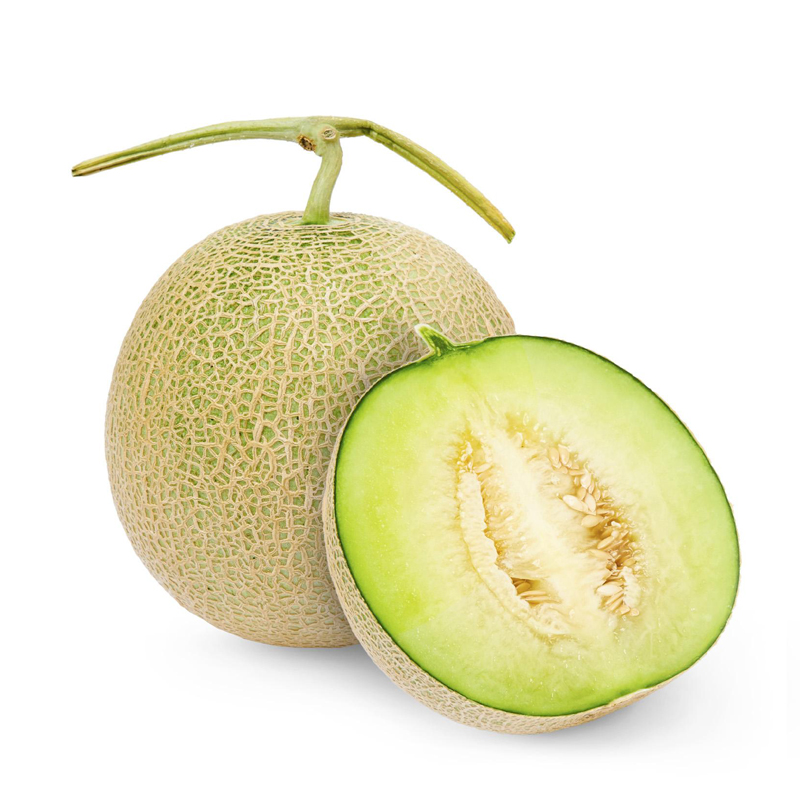 Muskmelon (Kharbuja)