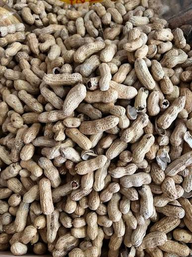 Raw Peanuts (Groundnuts)