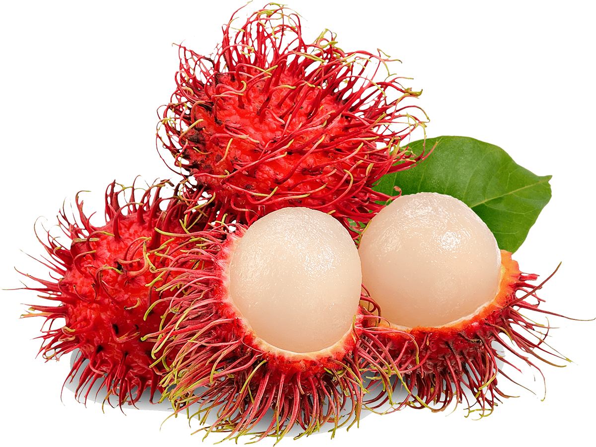 Rambutan