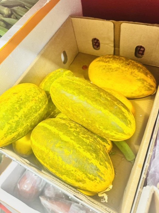 Sambar Cucumber