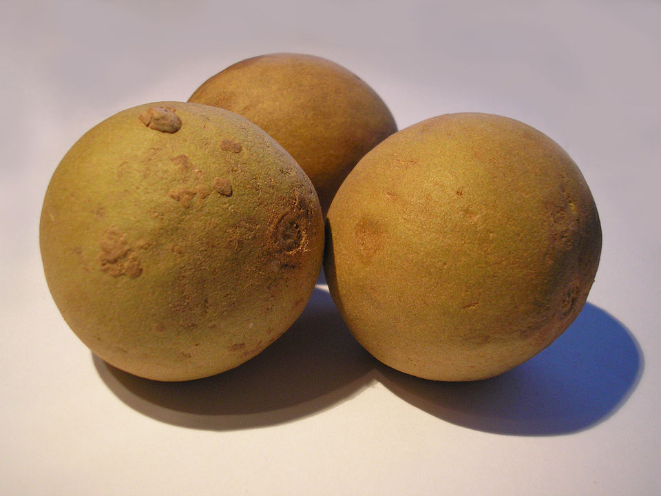 Sapota (Chikoo)