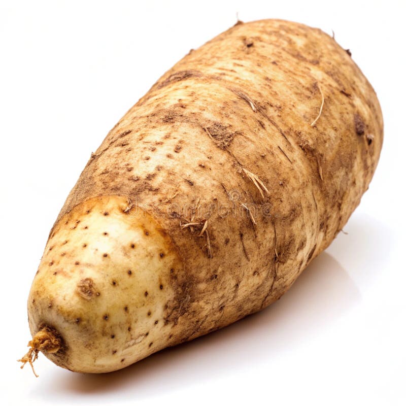 Suran (Elephant Foot Yam)