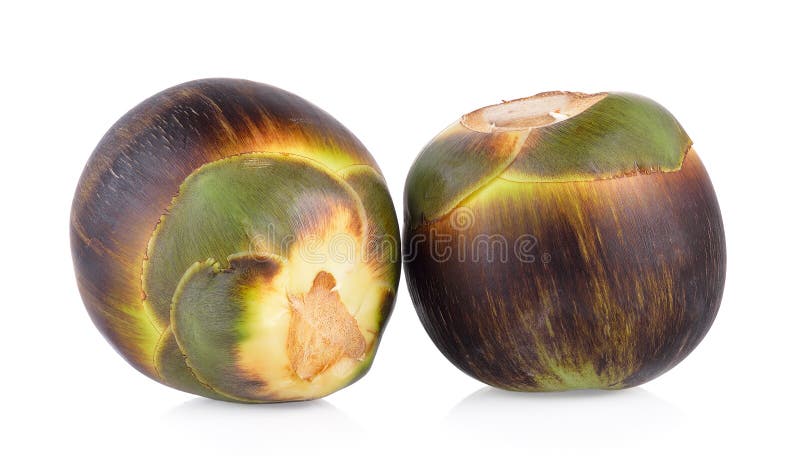 Toddy Palm Seeds (Palmyrah)