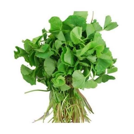 Vallarai (Gotu Kola)
