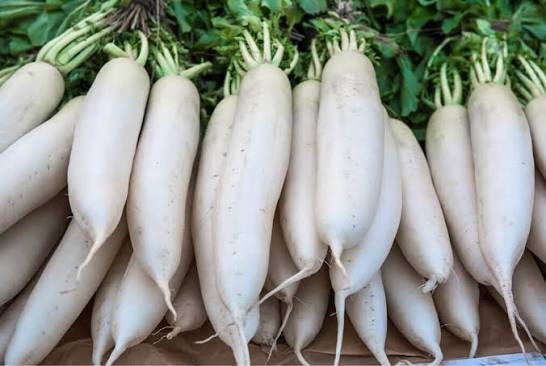 White Radish (Mooli)