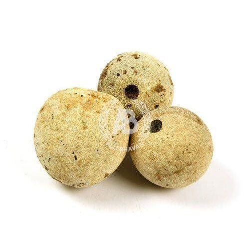 Wood Apple