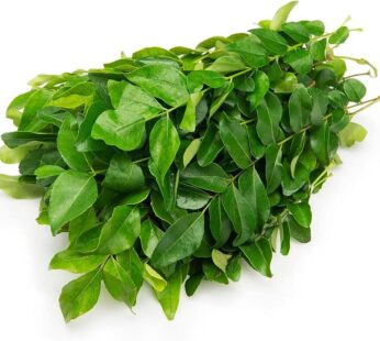 Fresh Curry Leaves, 100g Bunch