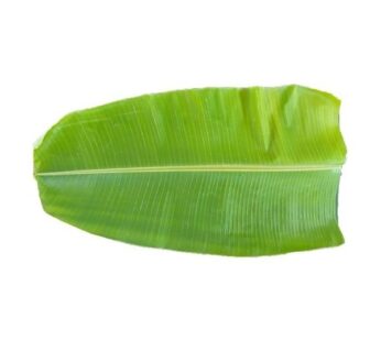 Banana Leaf 5p