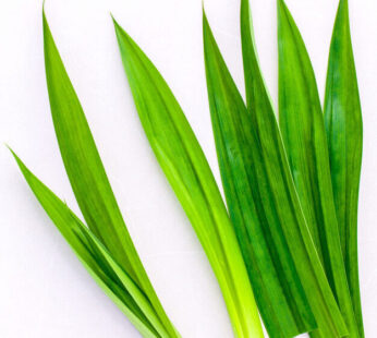 Pandan leaf 100g